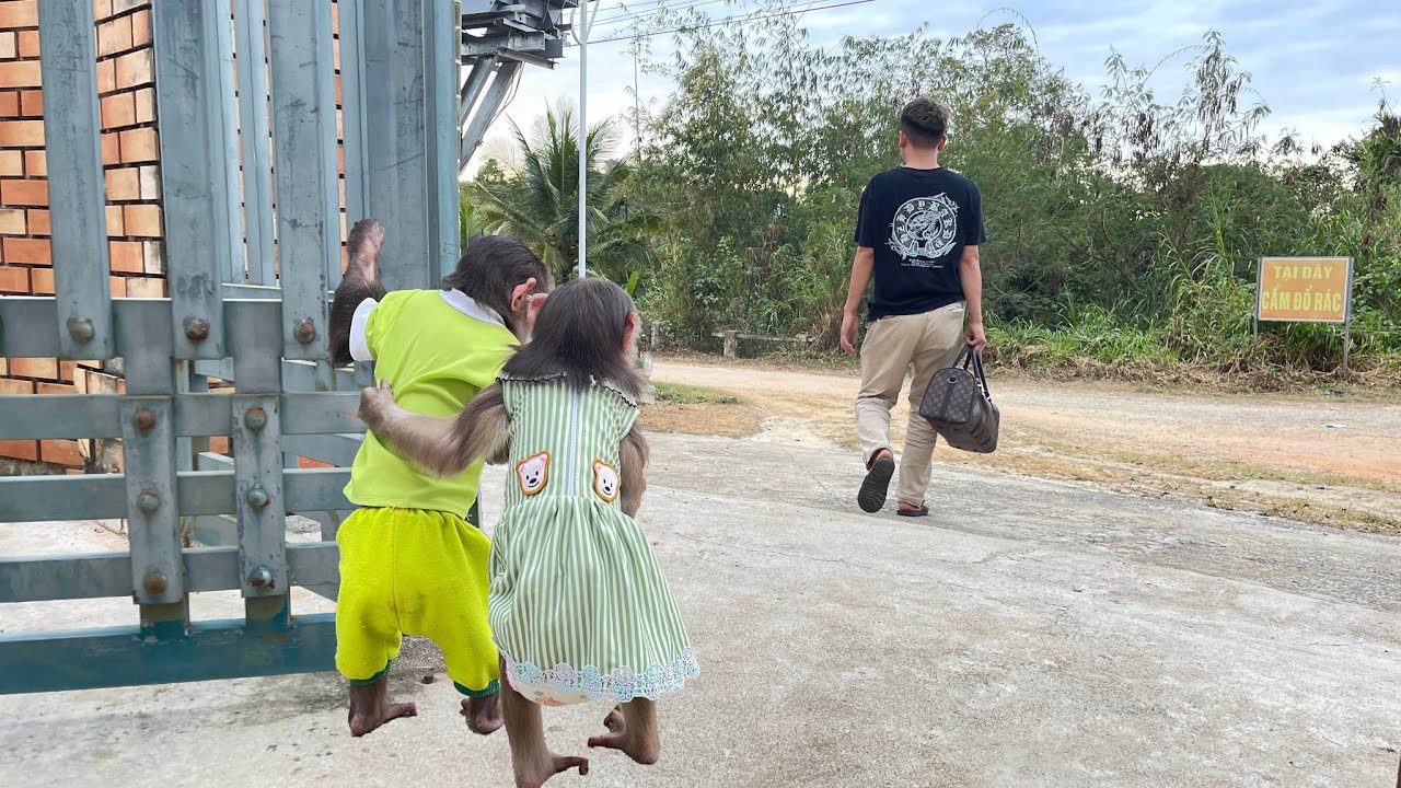 Thang Suddenly Leaves — What Really Happened?