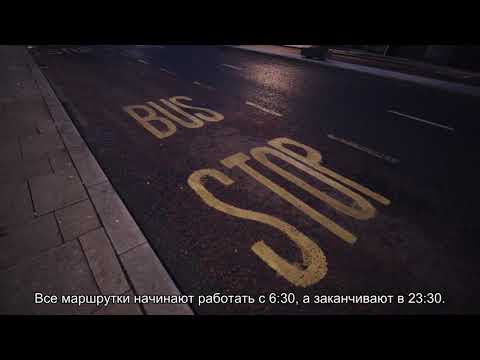 Автово-Петергоф: сколько ехать, как добраться, маршрутка и автобус, расписание