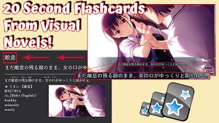 Celebrity Making EXTREMELY Fast Flashcards With Visual Novels for Japanese Net Worth