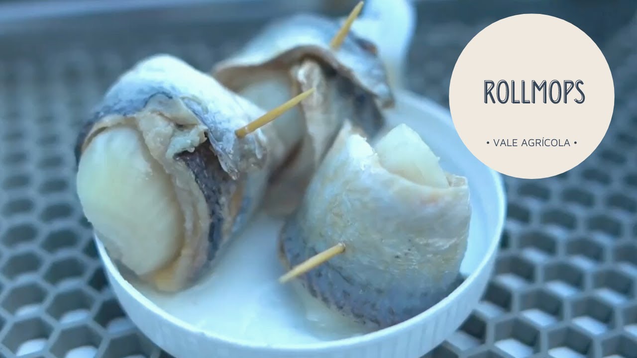 SUSHI DE ALEMÃO LEVA SARDINHA E CEBOLA CRUA 😋🍻