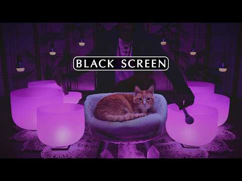 **PARASYMPATHETIC NERVOUS SYSTEM RESET** Release Your Stress and FINALLY SLEEP (Black Screen)