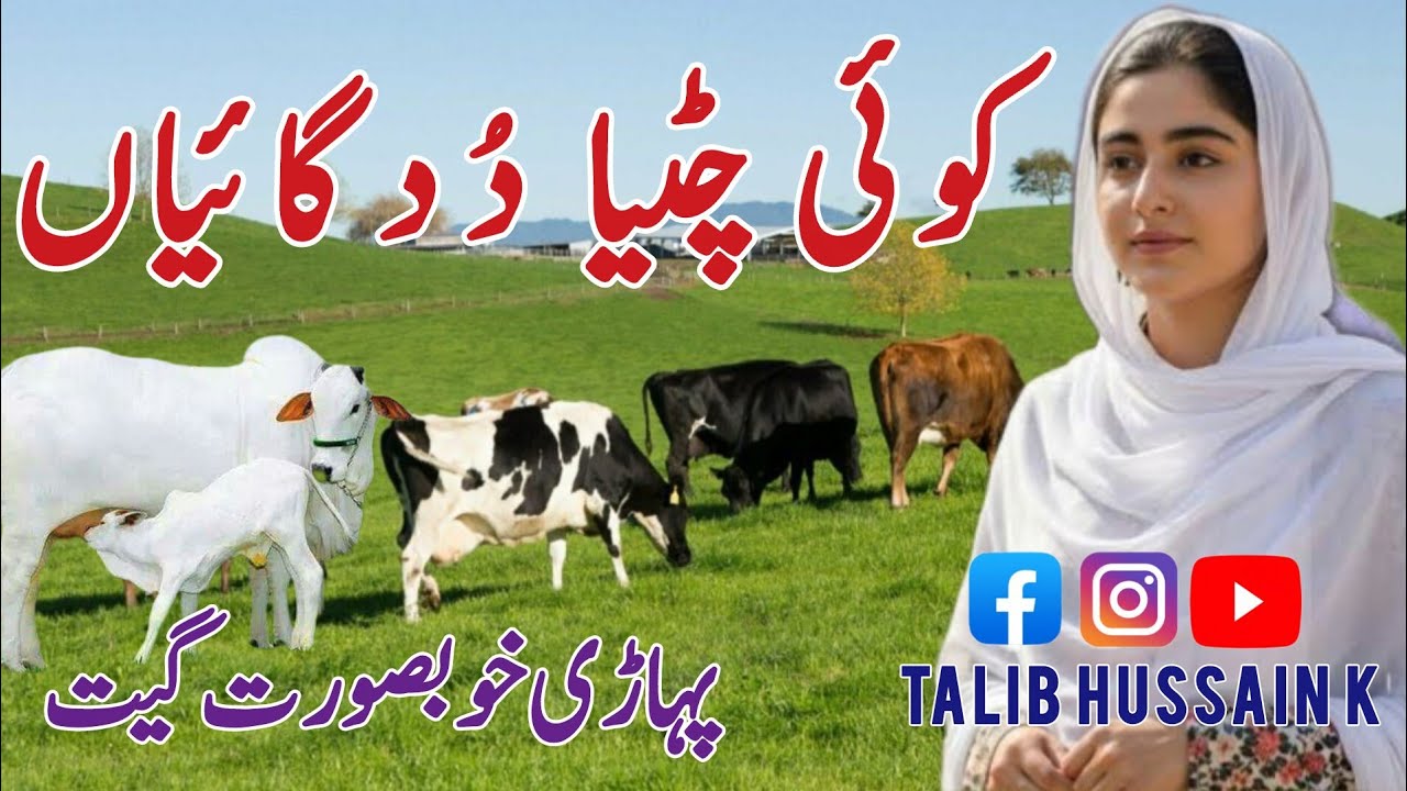 Koyi Chitiya Dud Gaiya | Cha Piti Ras Leke | Ujar Gareeb Jande | زPahari Song | alib Hussain k