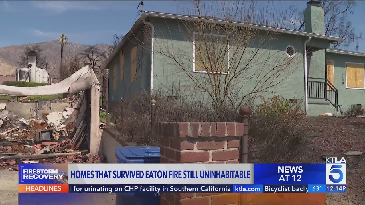 Many homes that survived the Eaton Fire are still uninhabitable | Los Angeles Fires