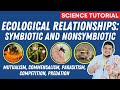 Ecological Relationships and Interactions Within Ecosystems