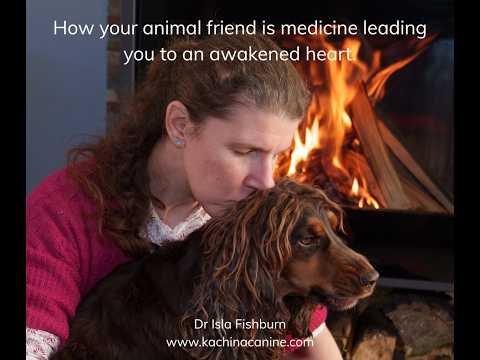 Your animal friend is medicine to take you from a heart that hurts to a heart that is awakened