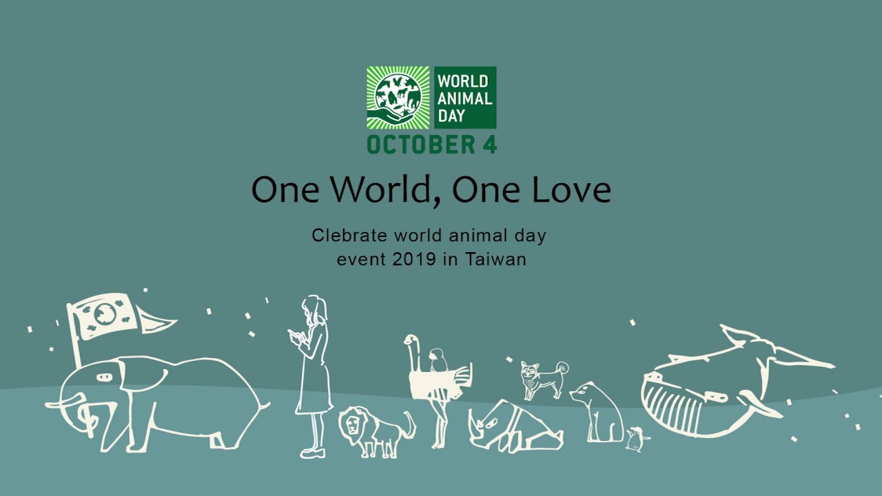 "ONE WORLD,ONE LOVE" installation art exhibitions for world animal day in Taipei,Tawan.