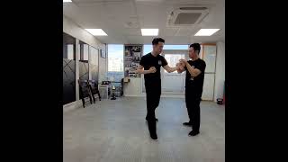 영춘권 부드러운 움직임(Wing Chun The Flow)