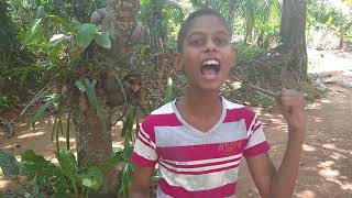 Nagitimu Sri Lanka Theme Song - Sirasa Tv