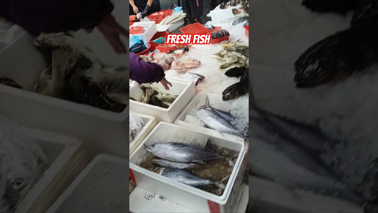 FRESH FISH 
