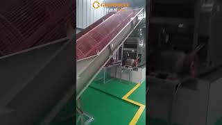 Best Price Of Cassava Starch Processing Plant Machines Installation On Site