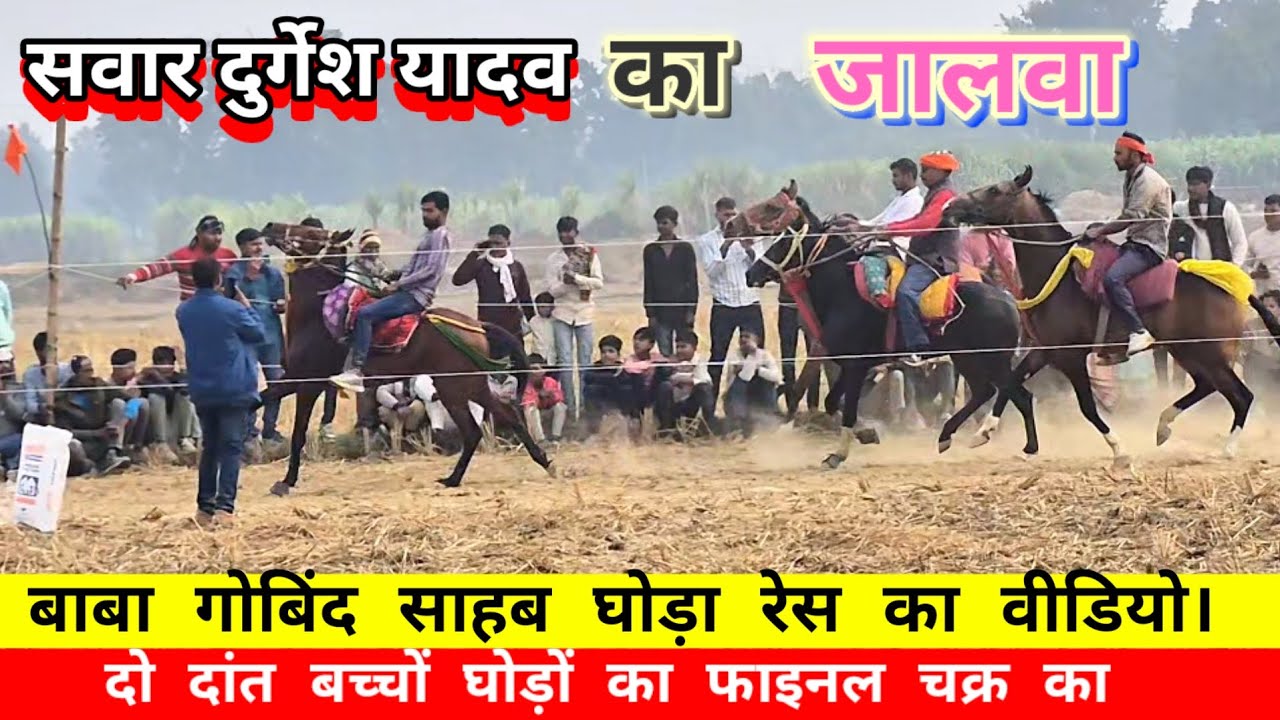 बाबा गोबिंद साहब घोड़ा दौड़ चेतक प्रतियोगिता का दो दांत घोड़ों का फाइनल चक्र का वीडियो 2025 का