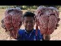 Cow Brain Recipe / Delicious Cow Brain Stir Fry Young Green Pepper