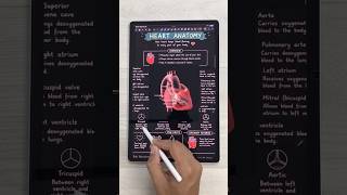 Notewise 2026 Update 🔥 Game-Changing Features for Digital Note-Taking!