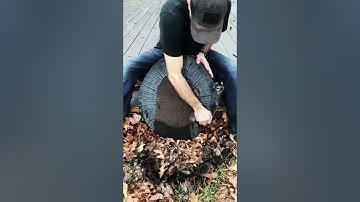 Nature Art - American Sycamore Tree Ring Printing Process