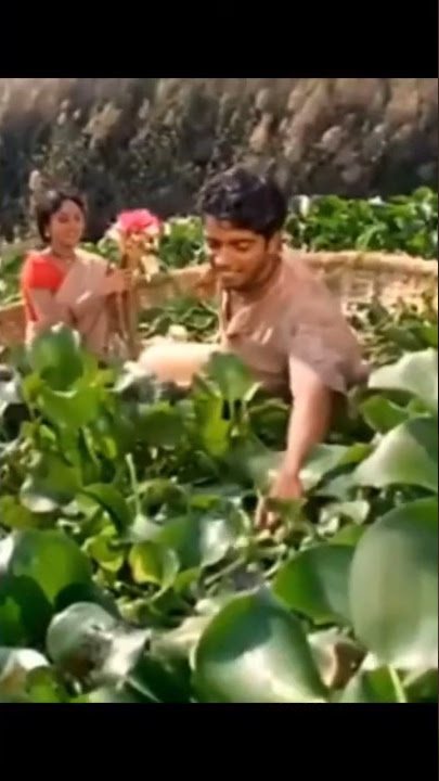 nindu noorella savasam ! pranam movie!