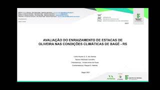JIC 2021 - Avaliação do enraizamento de estacas de oliveira nas condições climáticas de Bagé-RS