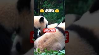 Berkah Melimpah doa mustajab sholawat motivation quotes  ai shorts youtube reels 1