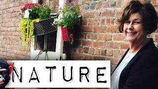 Nancy's Plants Will Prove That It Was A Different Night | The Abduction of Nancy Guthrie