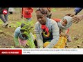 Horn of Africa Weekly Regional Security Climate Action Humanitarian Challenges and Health Innovation