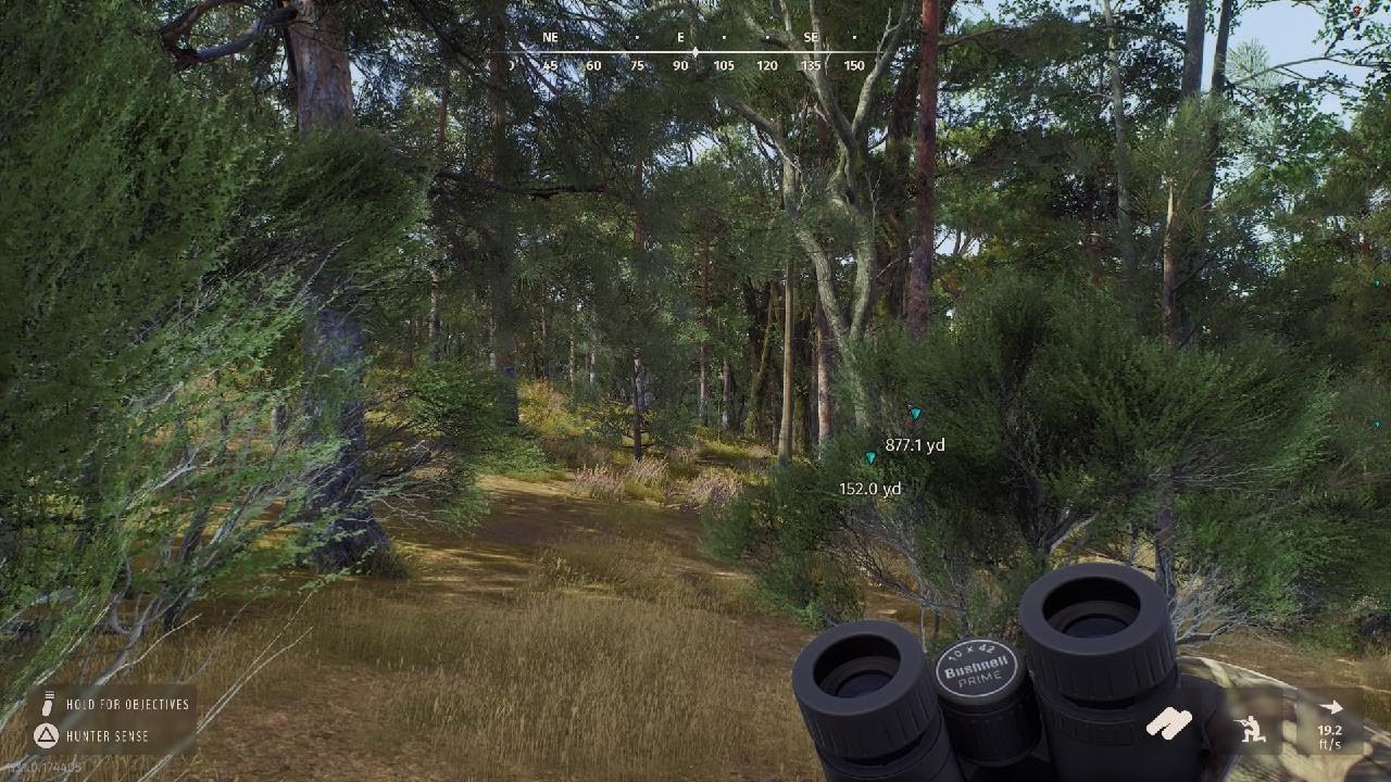 Way of the Hunter 5 STAR SIKA DEER called in crossbow kill!