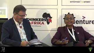 Investors' Perspectives on Funding Coal and the Energy Transition in Southern Africa