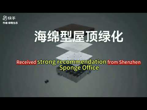 海绵型种植容器宣传视频