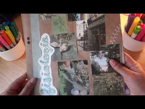 Organizandome para un NUEVO SEMESTRE en MEDICINA | NOTION + MOCHILA Y ESTUCHERA | ITZY HERE