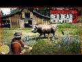 GRANJERO BUSCA ESPOSA - RED DEAD REDEMPTION 2 #17