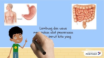 Jadi ini yang berbunyi di perut saat lapar !!!