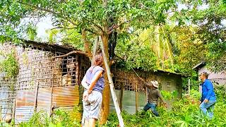 From Overgrown to Beautiful | Restoring an Abandoned House After Many Years