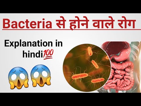 Bacteria se hone wale rog|| बैक्टीरिया से होने वाले रोग||#rog #bacteria ...