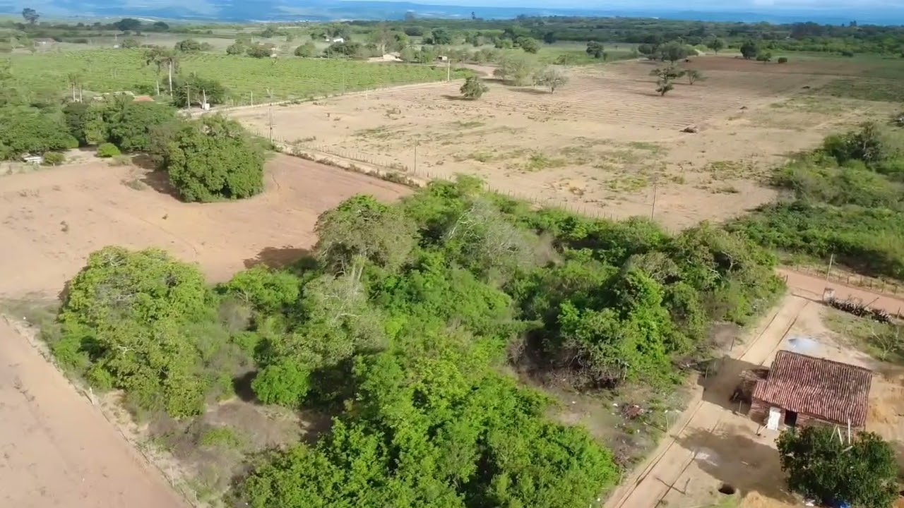 Voando outra  vez  no  sitio 