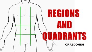 Planes, Regions and Quadrants of Abdomen - Anatomy Tutorial