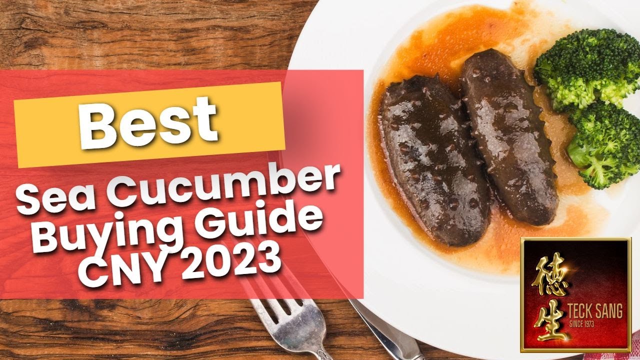 Best Sea Cucumber Price CNY [2023] in Singapore |  Buy for best Sea Cucumber Recipes Chinese Style