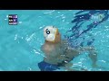 Hungary vs Montenegro - Highlights - World League 2022