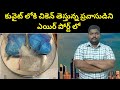 కువైట్ లోకి చికెన్ || Kuwait Egypt Person Luggage Bag In Air Port || SukanyaTv Telugu