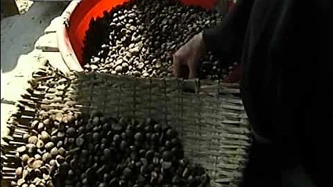 [Beautiful China 2009-01-18 HQ] Bama Yao Village