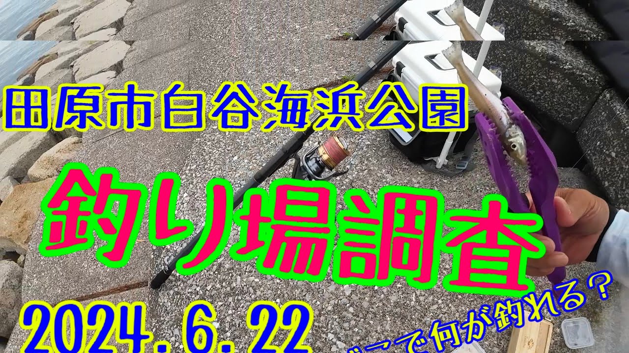 2024 6 22【三河湾】田原市　白谷海浜公園釣り場調査