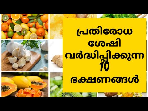 10 foods that increase immunity | രോഗപ്രതിരോധ ശേഷി വർദ്ധിപ്പിക്കുന്ന ഭക്ഷണങ്ങൾ | fight corona