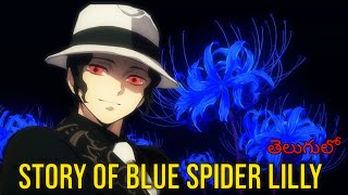 Blue Spider Lily Explained in Telugu Demon Slayer Shadow of anime