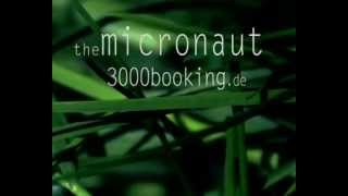 the Micronaut