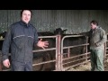 Farmer know-how: body condition scoring cattle