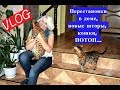 VLOG. Новые шторы, потоп,перестановки в доме, кошки, рассада...