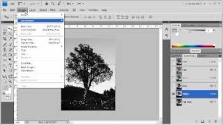 3.8 Masking a Tree Using Multiple Channels: Adobe Photoshop CS4 Video