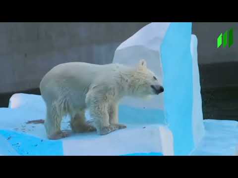 Climeto - video from Climeto