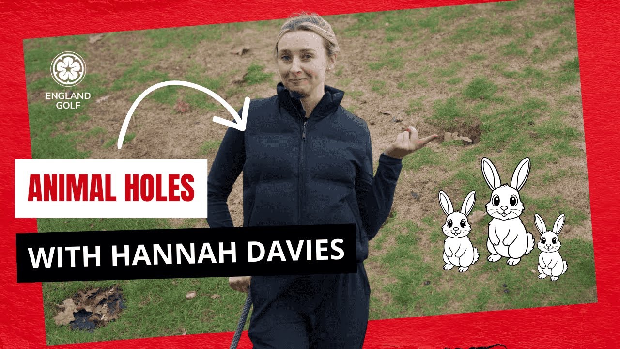 Лунки для животных | Правила гольфа