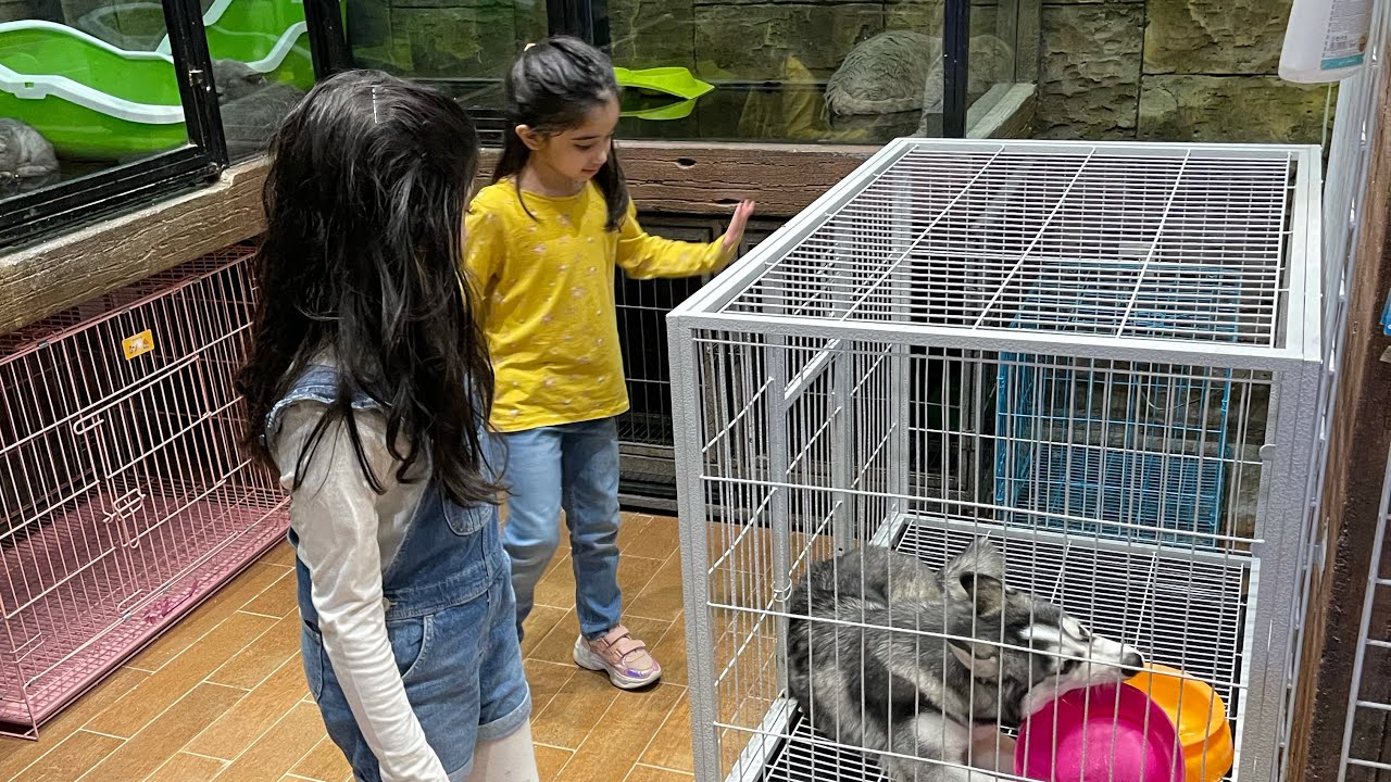 Pet Store Riyadh Saudi Arabia 🇸🇦 October 2021 YouTube