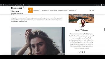 The Blogging WordPress Theme Activation and Demo Import