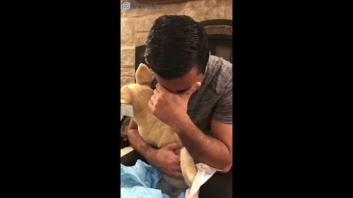 Wife Gets Husband Exact Replica Of His Beloved Deceased Dog | Petsies© Review