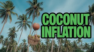 Top Economist Explains Inflation with Simple Stickman Animation